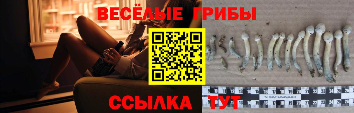 Гусиноозёрск  Галлюциногенные грибы MAGIC MUSHROOMS  Псилоцибиновые грибы прущие грибы  Вход с VPN 